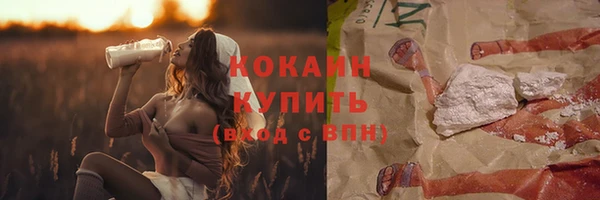 ГАЛЛЮЦИНОГЕННЫЕ ГРИБЫ Наволоки