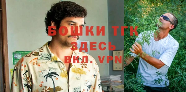ГАЛЛЮЦИНОГЕННЫЕ ГРИБЫ Наволоки