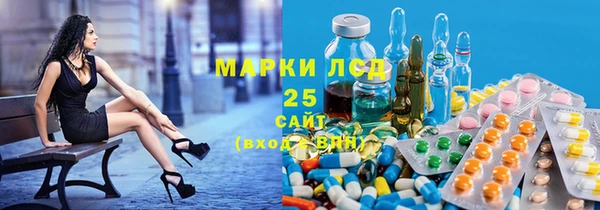 спиды Новодвинск